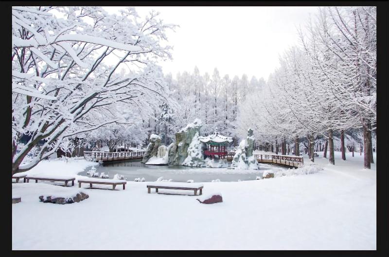 24 Guesthouse Seoul Cheongryangri image