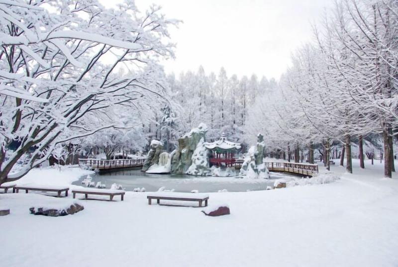 24 Guesthouse Seoul Cheongryangri image