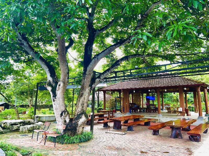 Ninh Binh Family Homestay image
