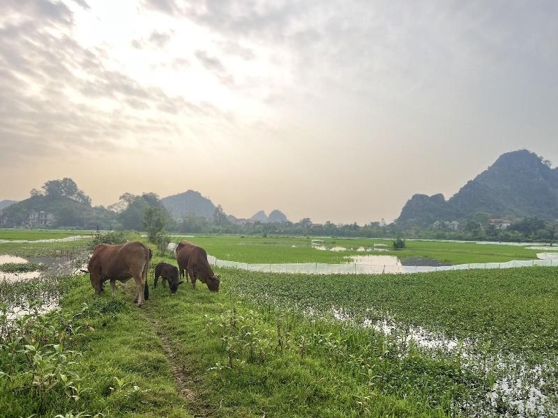 Ninh Binh Family Homestay image