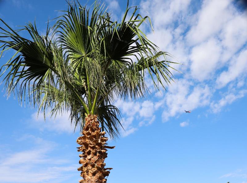 Budget Inn - Image 4