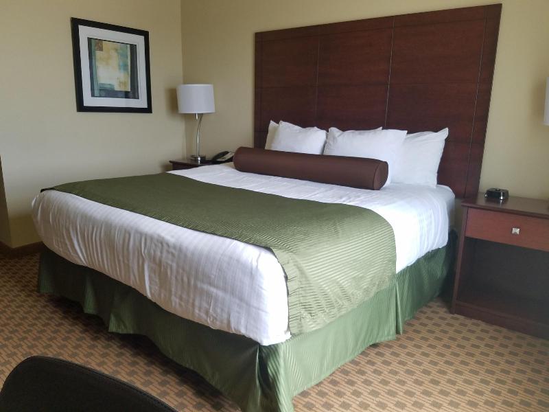 Cobblestone Inn & Suites - Bottineau image 8