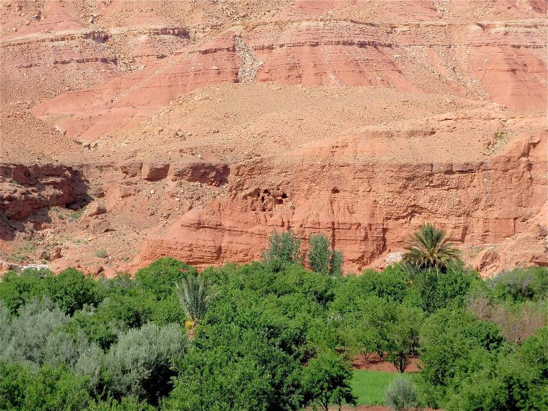 Kasbah Titrit image