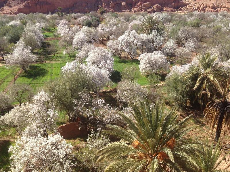 Kasbah Titrit image
