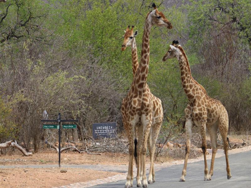 Unembeza Boutique Lodge & Spa image