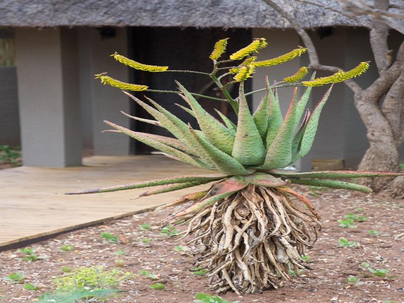 Unembeza Boutique Lodge & Spa image