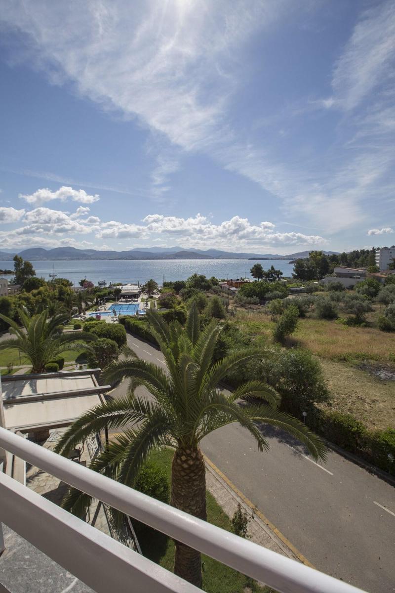 Almira Mare - Image 5