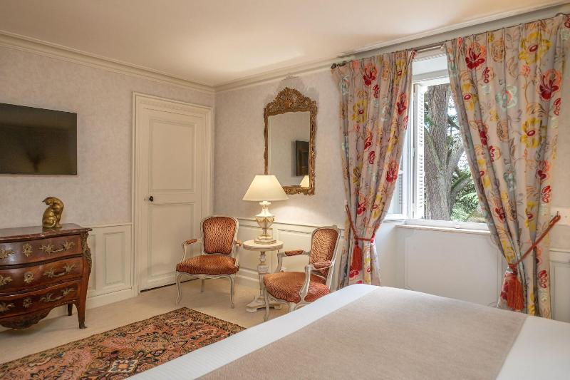 Chateau De Rochecotte image