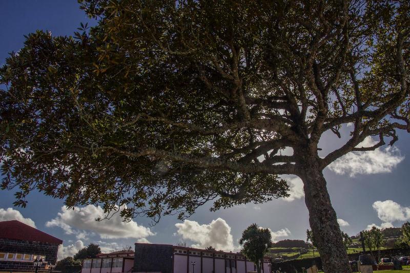 Quinta Do Norte image