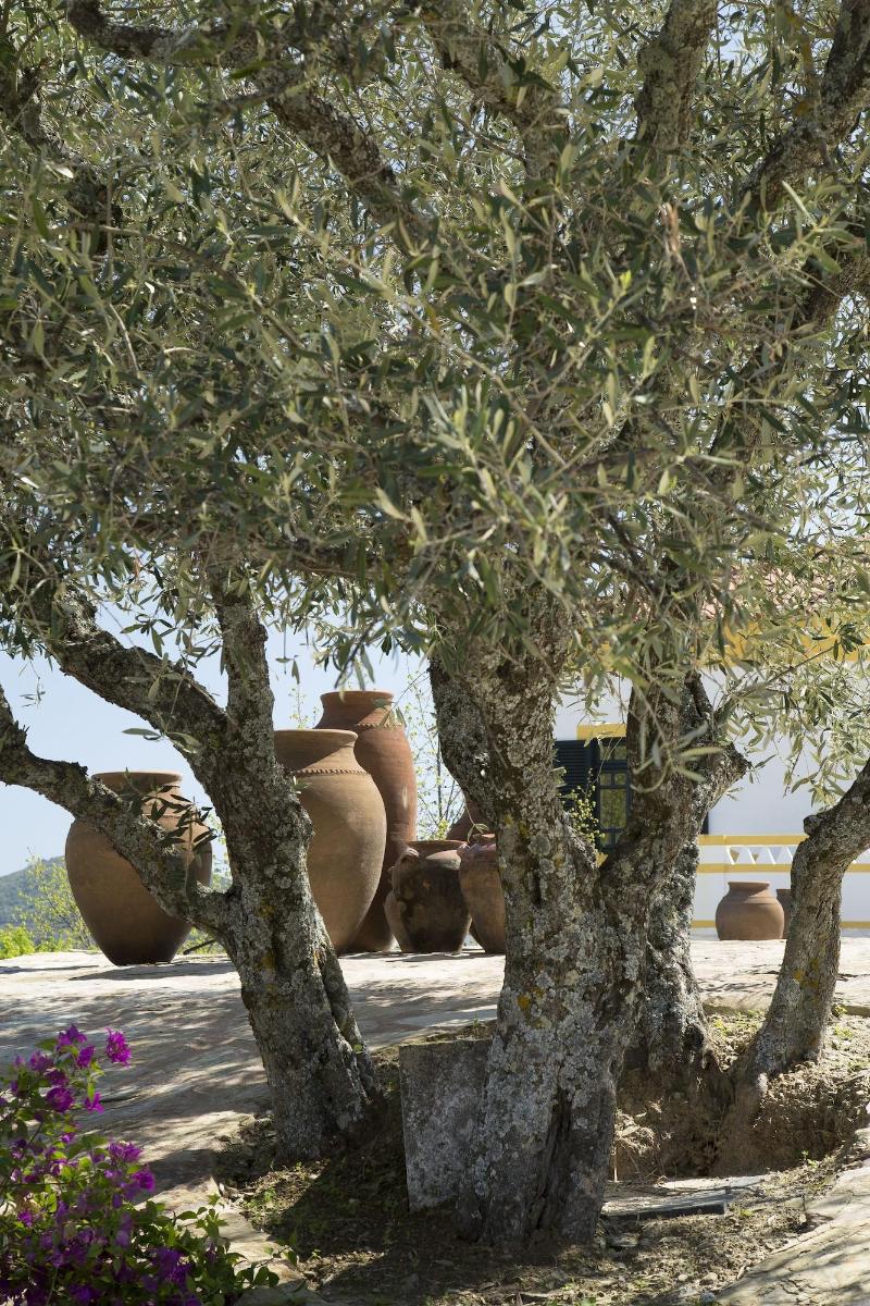 Quinta da Côrte image
