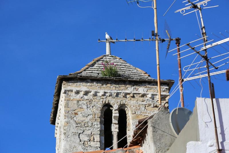 Malena Palace image