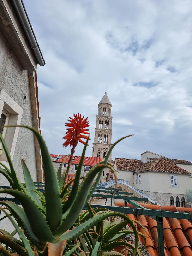 Malena Palace image