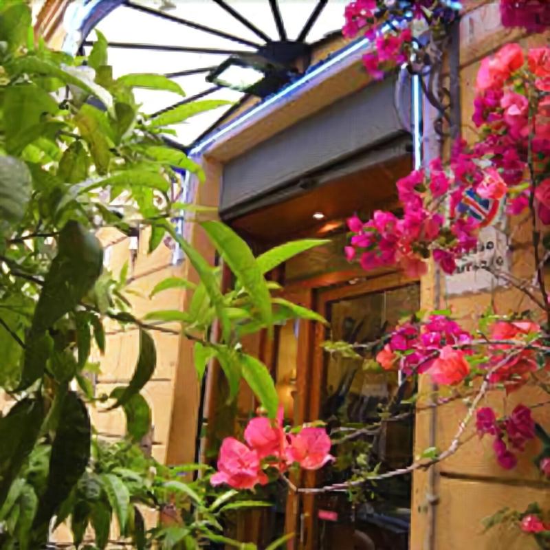 Mari 2 — main photo