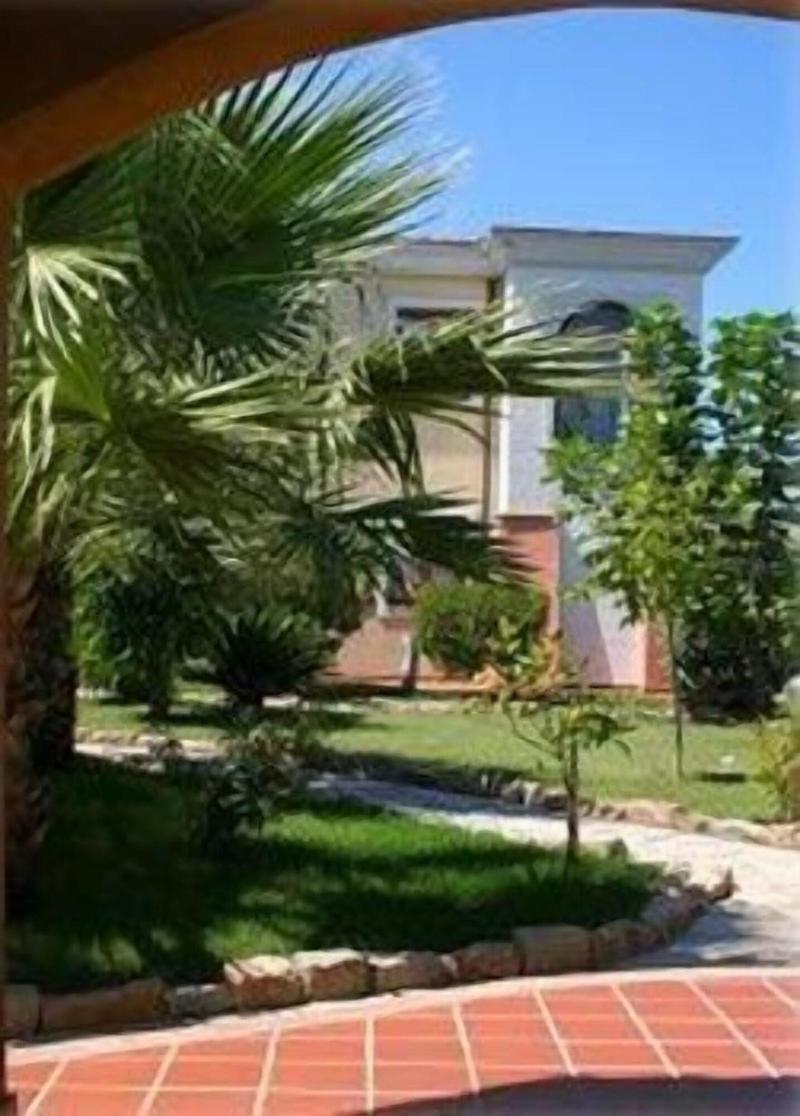 L'Ulivo image