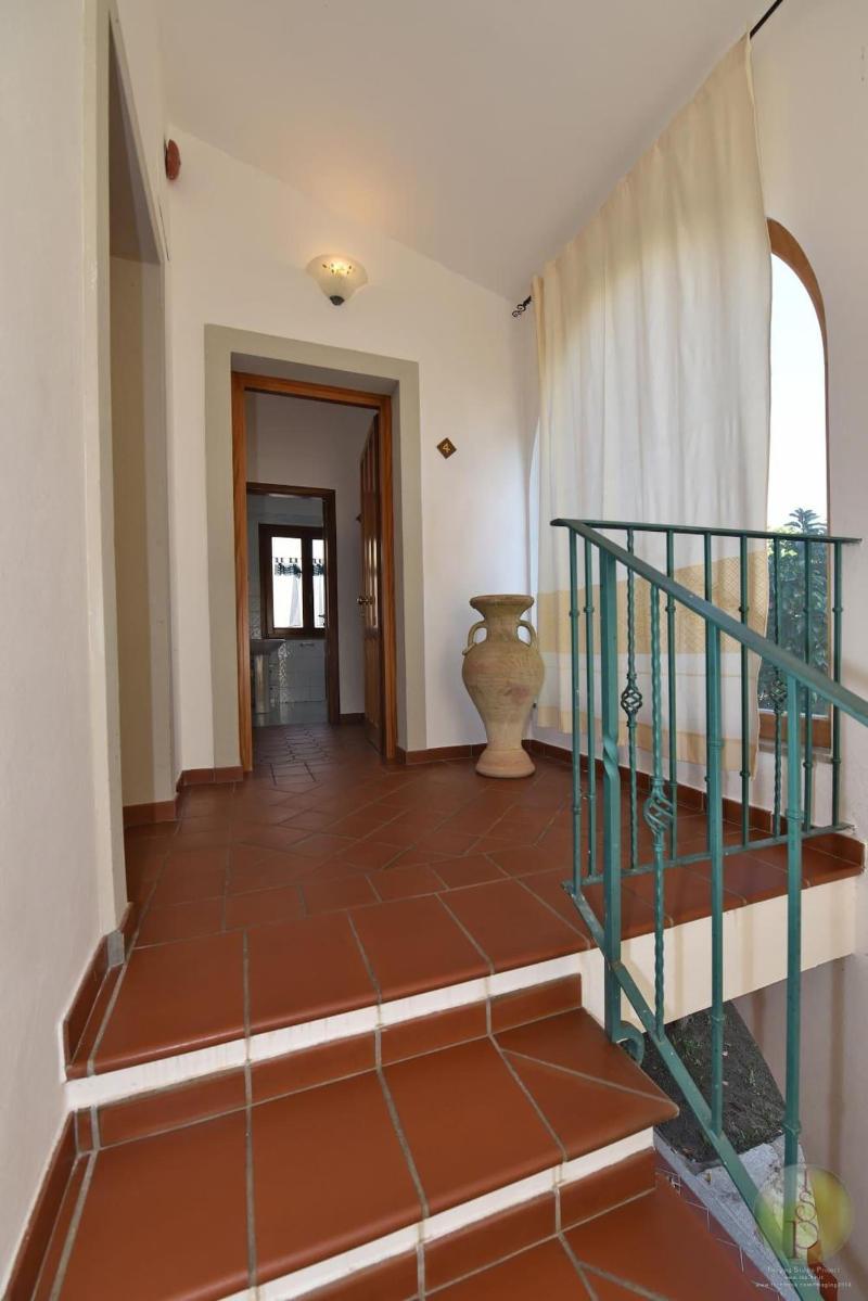 L'Ulivo image