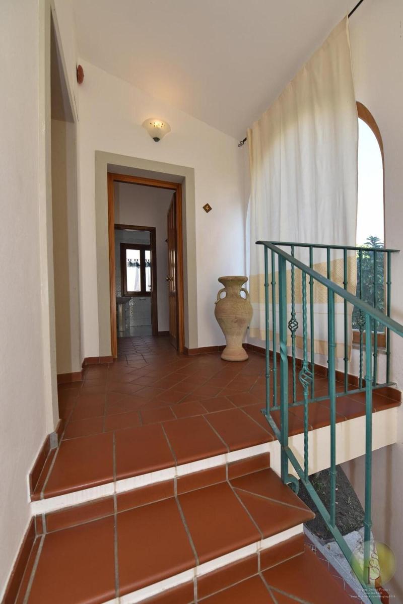 L'Ulivo image