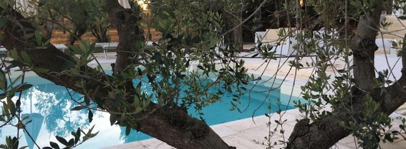 Tenuta Sidore image