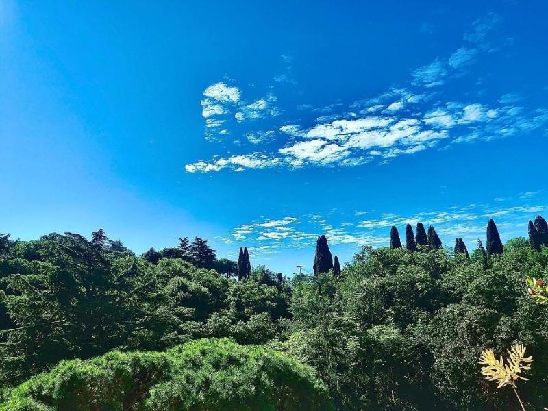 Happy Holiday In Rome image