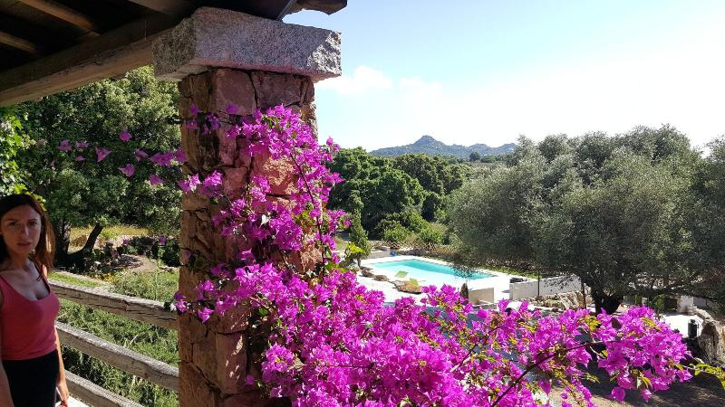 Agriturismo Desole — main photo