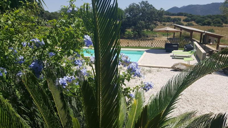 Agriturismo Desole — photo 2