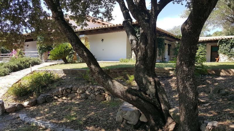 Agriturismo Desole — photo 4