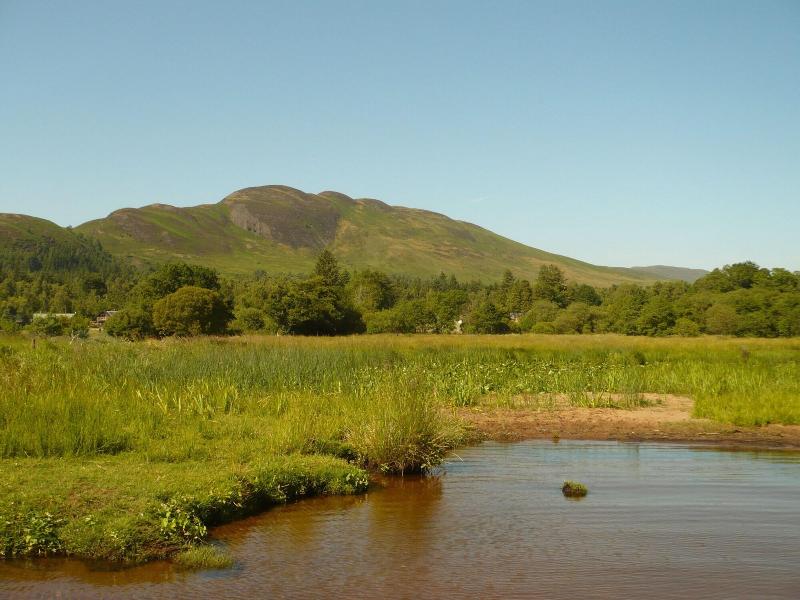 Birchwood Guest Lodge image