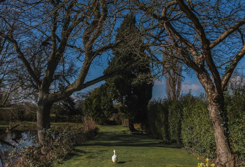 Healing Manor Hotel image