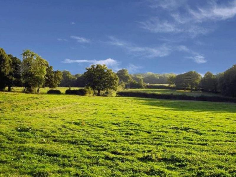 Moaps Farm Bed And Breakfast image