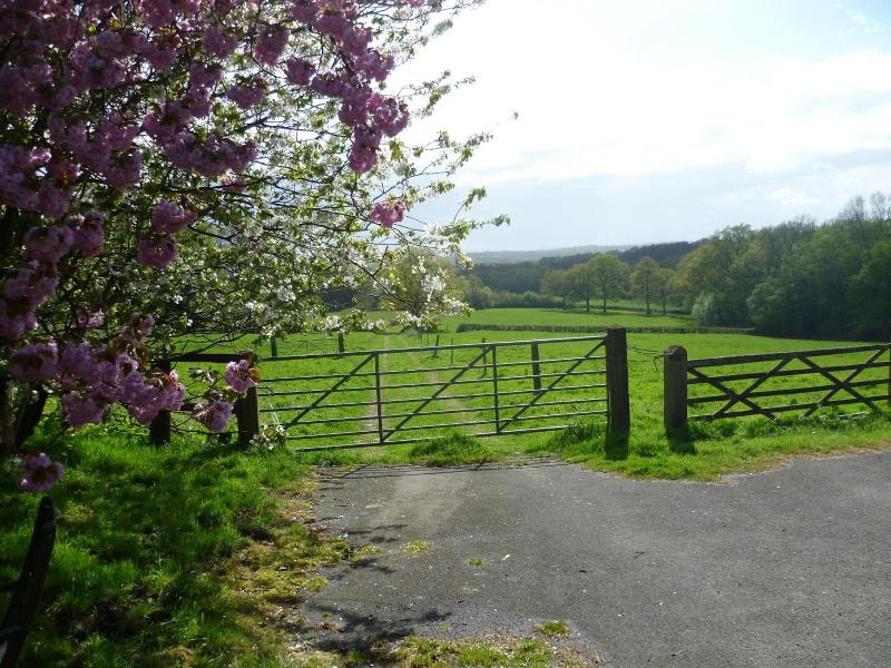 Moaps Farm Bed And Breakfast image