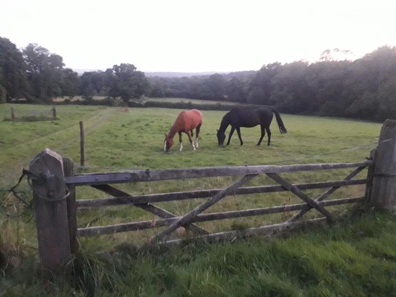 Moaps Farm Bed And Breakfast image
