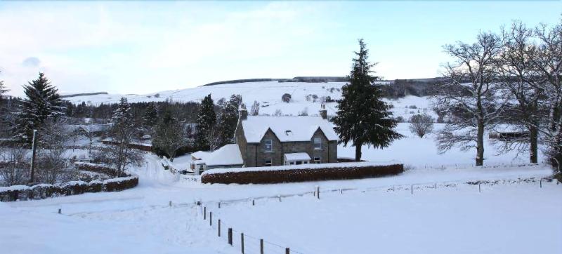 Shian Cottage Bed And Breakfast — main photo