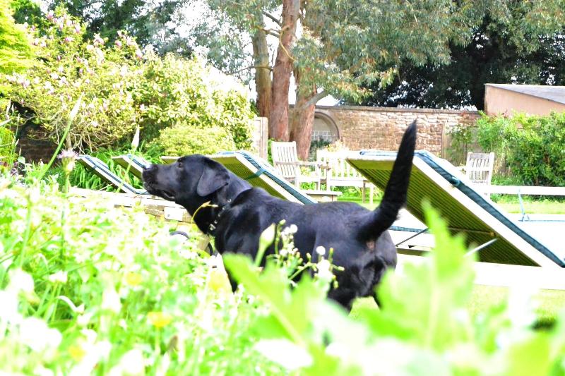 Beechfield House Hotel image