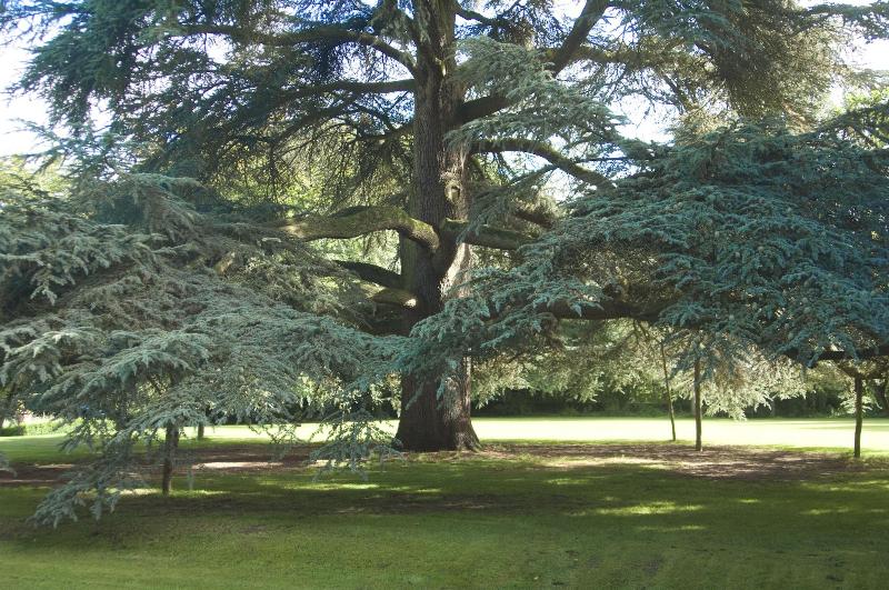 Beechfield House Hotel image