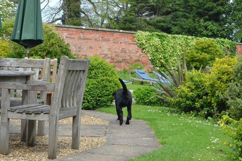 Beechfield House Hotel image