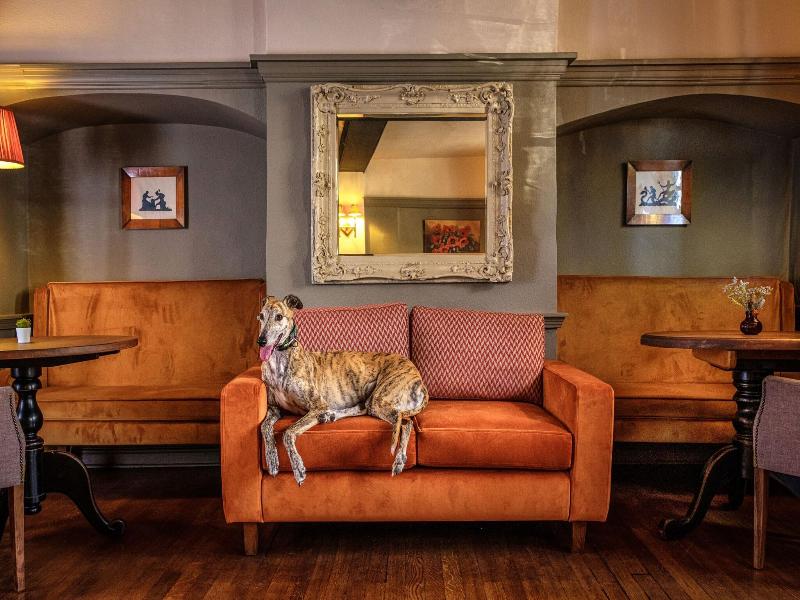 The Feathers Hotel image