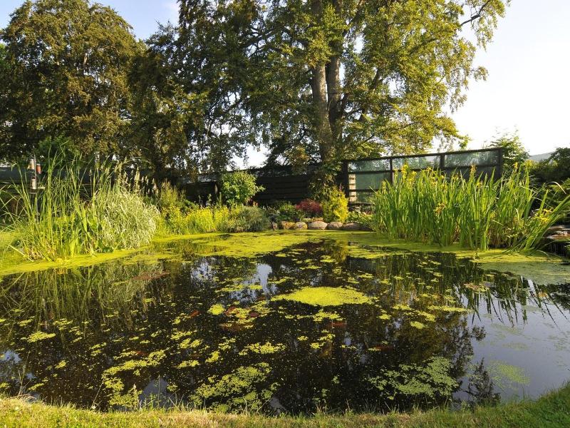 Home Farm image