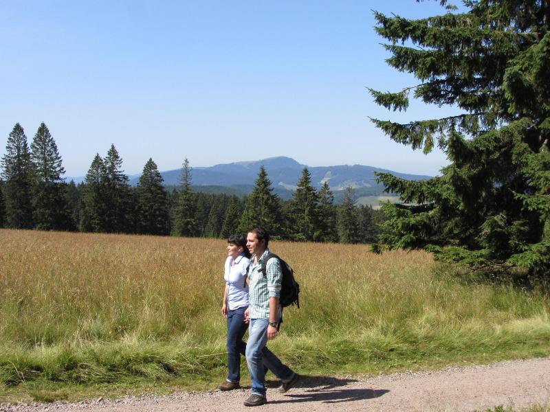 Waldhotel Am Notschreipass image