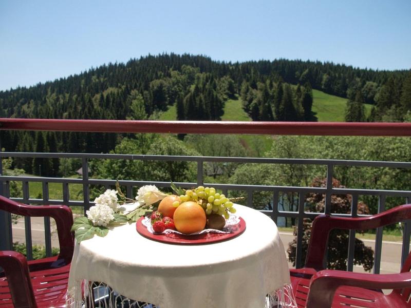 Waldhotel Am Notschreipass image