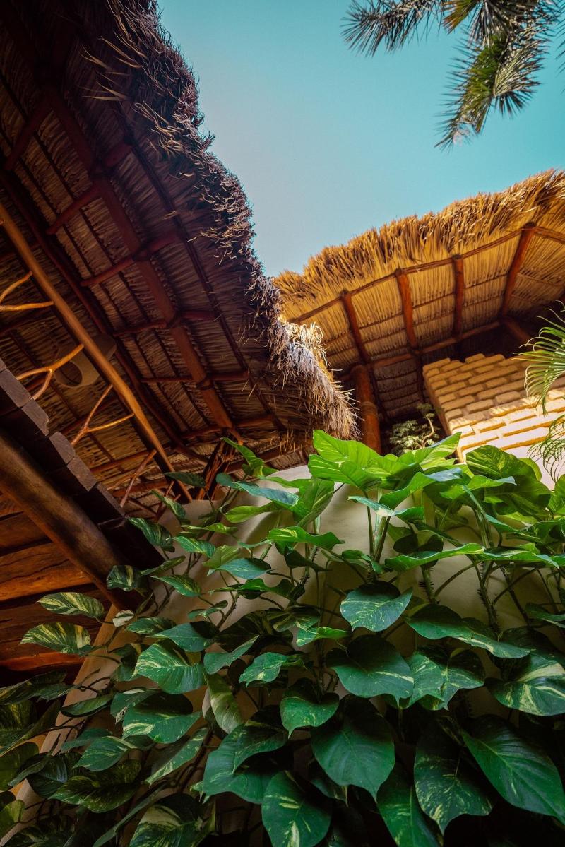 La Villa Luz Adults Only image