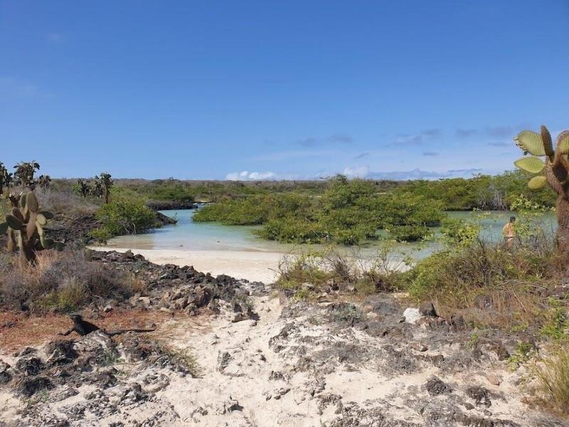 Palo Santo Galapagos Hotel image