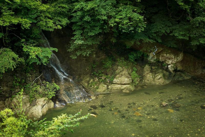1000 Years of Tradition - Akiu Onsen Sakan image