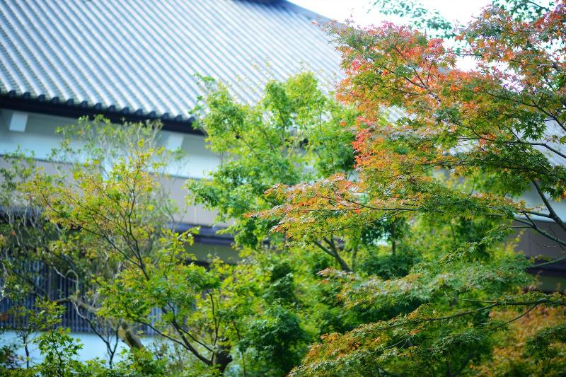 1000 Years of Tradition - Akiu Onsen Sakan image