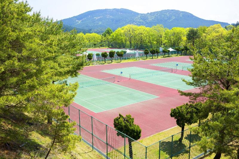 Mineyama Kogen Hotel Relaxia image