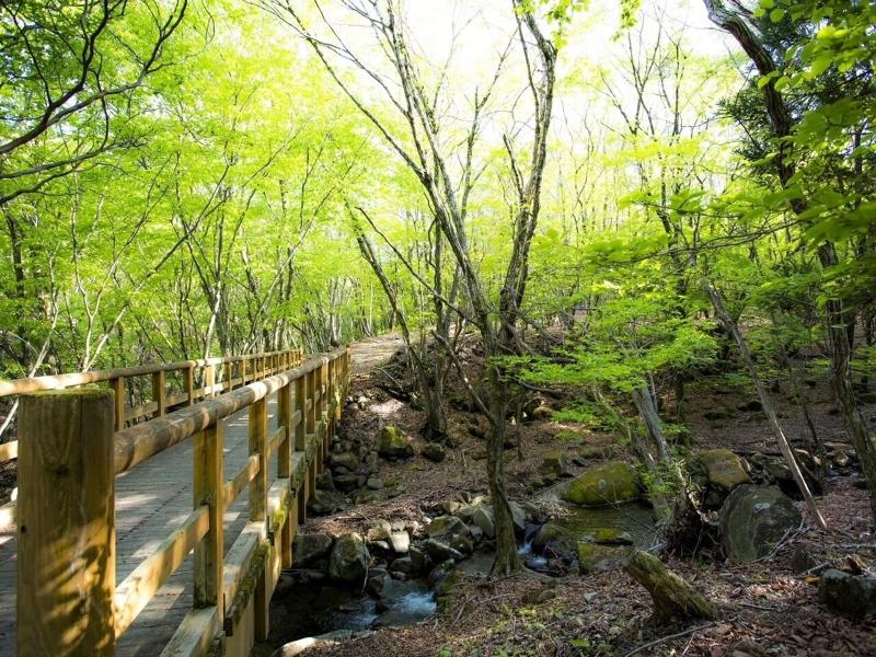 Mineyama Kogen Hotel Relaxia image