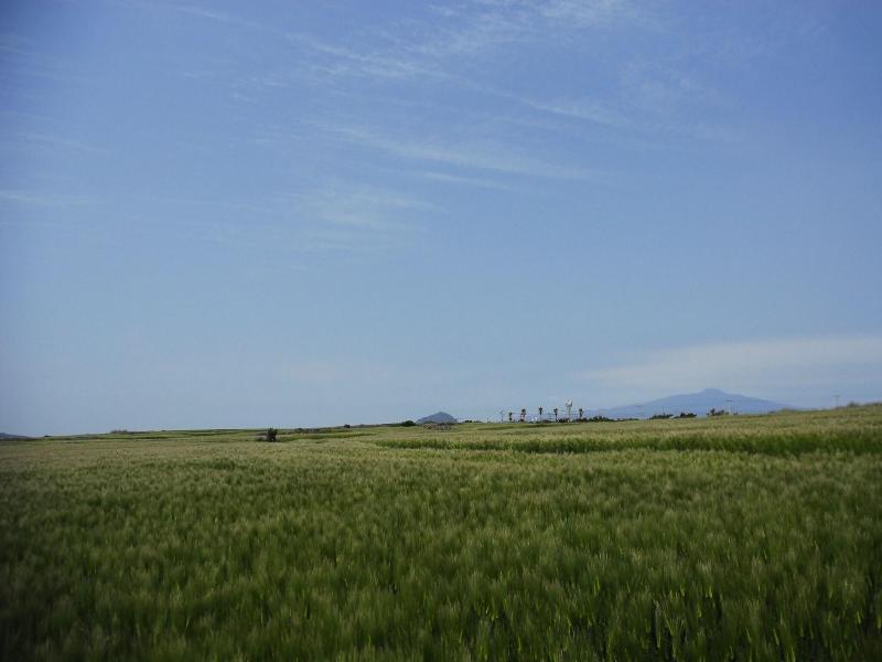 Jeju Moseulpo Hotel image