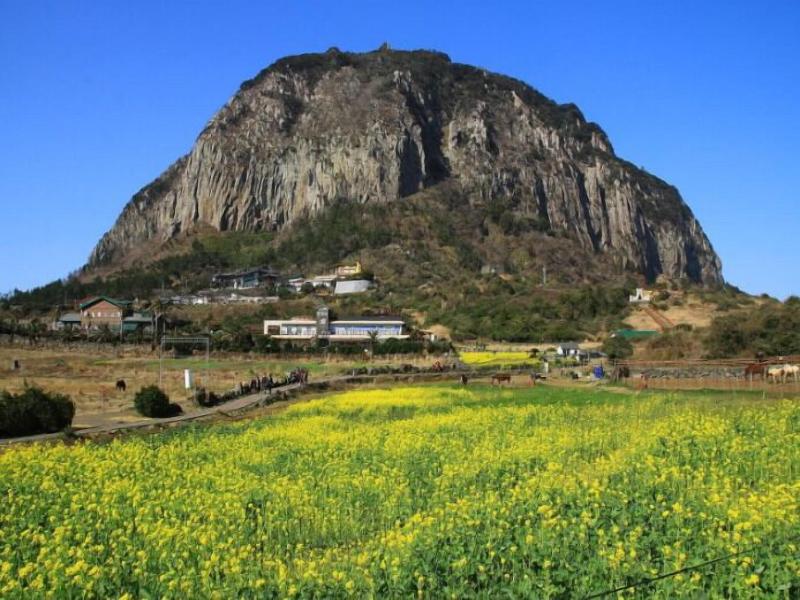 Jeju Moseulpo Hotel image