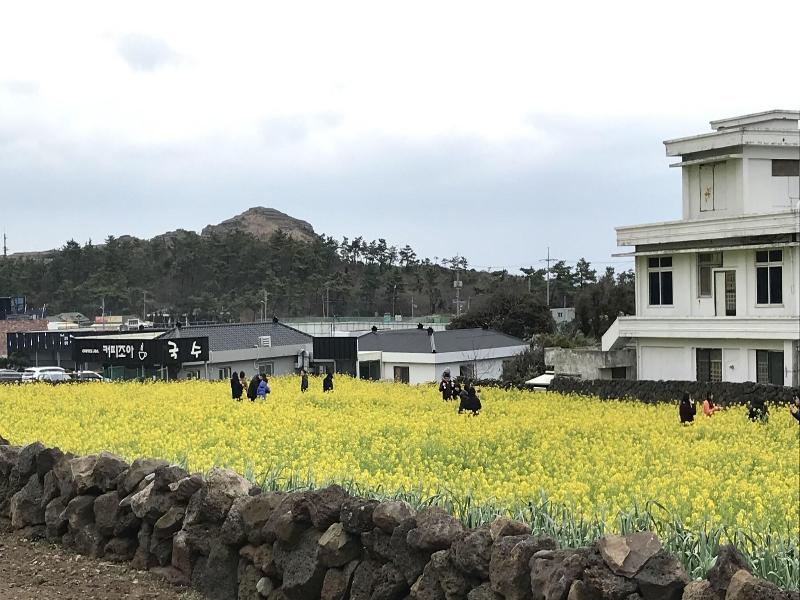 Jeju Moseulpo Hotel image