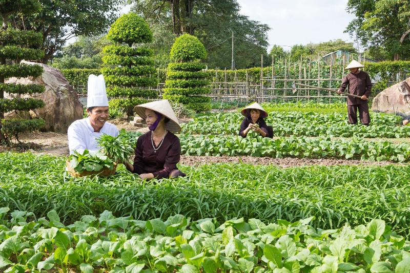 Maison du Vietnam Resort & Spa image