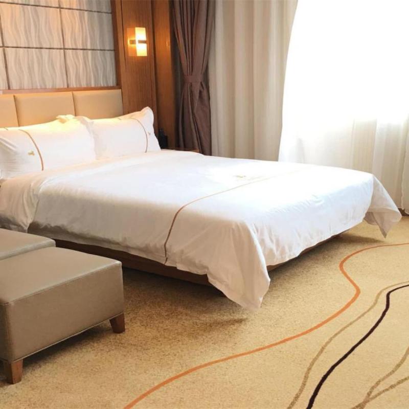 Bolailitai Hotel image