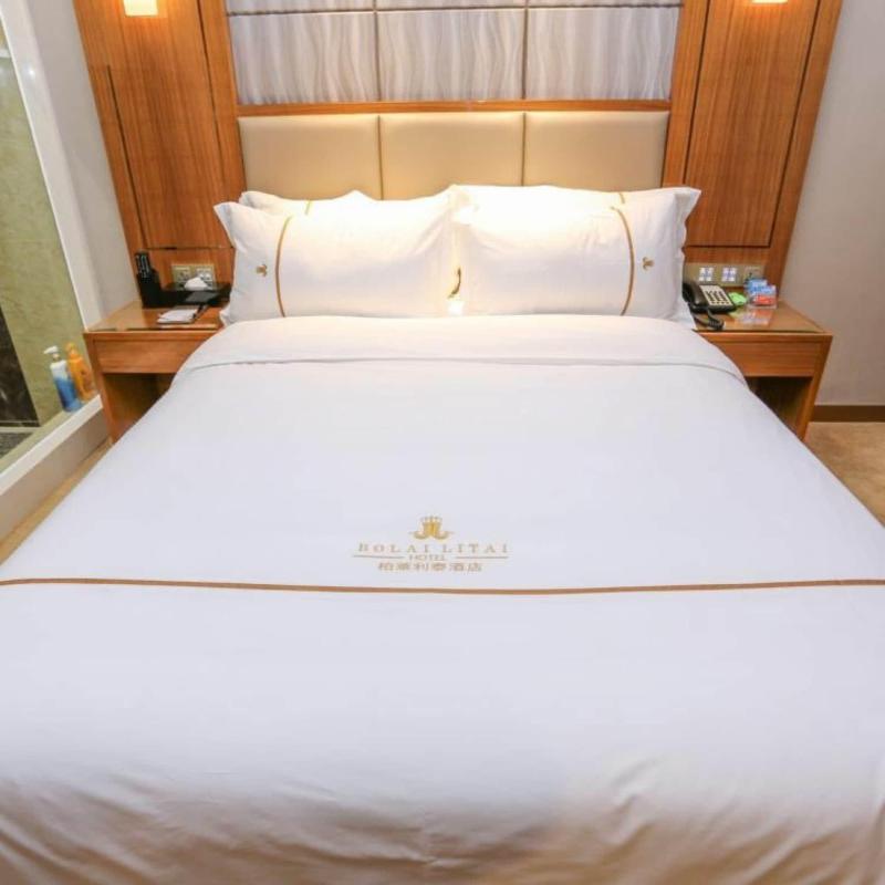 Bolailitai Hotel image